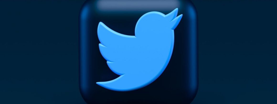 Pourquoi le logo de Twitter est-il un oiseau ?