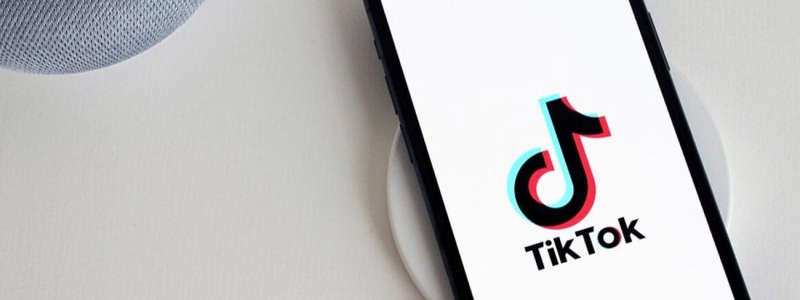 Grâce à Tik Tok, elle sauve le restaurant de ses parents