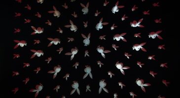 Europe2 Tonic : 3 choses à savoir sur le magazine Playboy