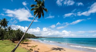 Bienvenue Chez Clément : Avez-vous passé de bonnes vacances ? Faites le test de Clément !