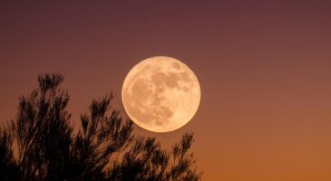 Astro : 3 choses à savoir sur la super lune des fraises