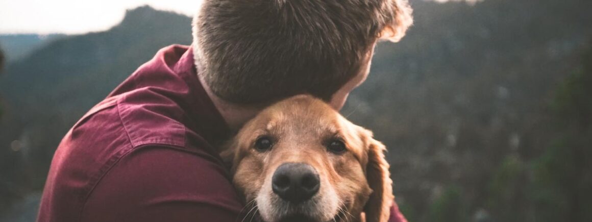 Toujours Ensemble : Mon bibou s’occupe de vos animaux de compagnie pendant vos vacances !