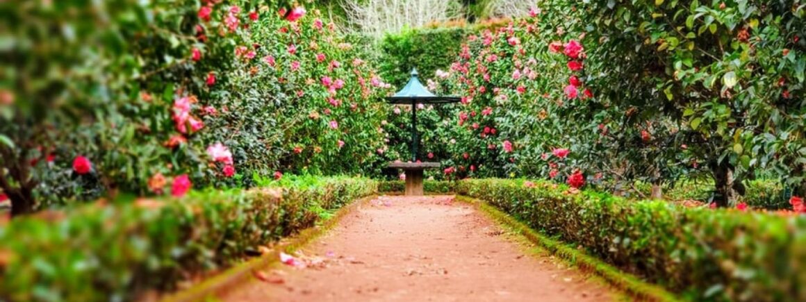 Bienvenue Chez Clément – Afterwork Europe 2 : Le 1er mai, jardinez nu(e) pour la journée mondiale du jardinage nu