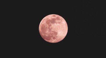 Astro : La Lune Rose vue par Twitter
