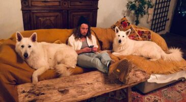 Julien Doré présente ses deux chiens à Martin Weill et c'est hilarant (VIDEO)