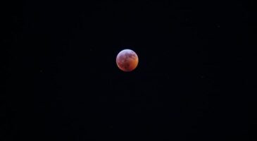 Astro : Ne manquez pas la lune rose du 27 avril