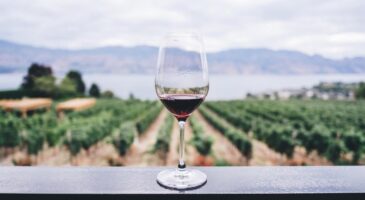 Nico Richonchon : Oui, le prix du vin lui donnerait meilleur goût (et c'est la science qui le dit)
