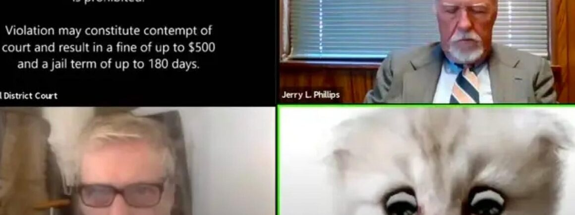 Bienvenue Chez Clément – Afterwork Europe 2 : « Je ne suis pas un chat », un avocat piégé par un filtre sur zoom amuse la toile