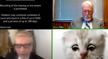 Bienvenue Chez Clément : « Je ne suis pas un chat », un avocat piégé par un filtre sur zoom amuse la toile