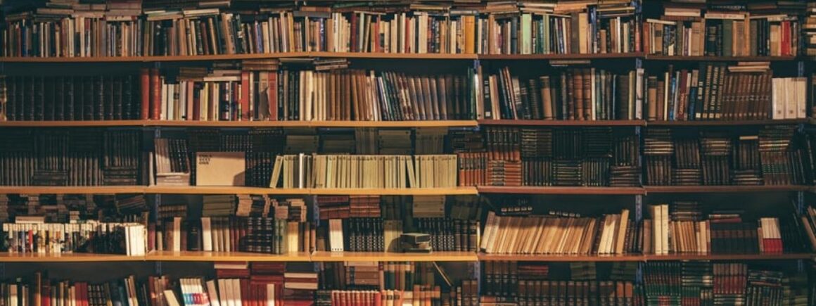 Clément l&rsquo;Enfume : des remises de peine contre des livres lus au Brésil