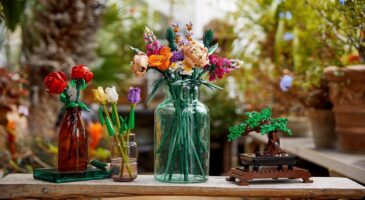 Bienvenue Chez Clément : Vous pouvez désormais offrir un bouquet de fleurs... en LEGO !