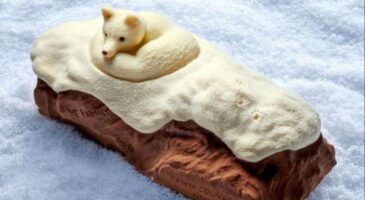 Bienvenue Chez Clément : Yann Couvreur dévoile sa bûche de Noël 2020 et elle va vous donner faim !