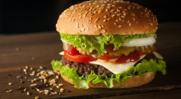 McDonald's va lancer une gamme 100% végétarienne