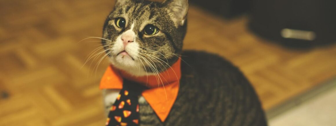 Halloween : On sait quel déguisement correspond à ton signe Astro, c’est cadeau !