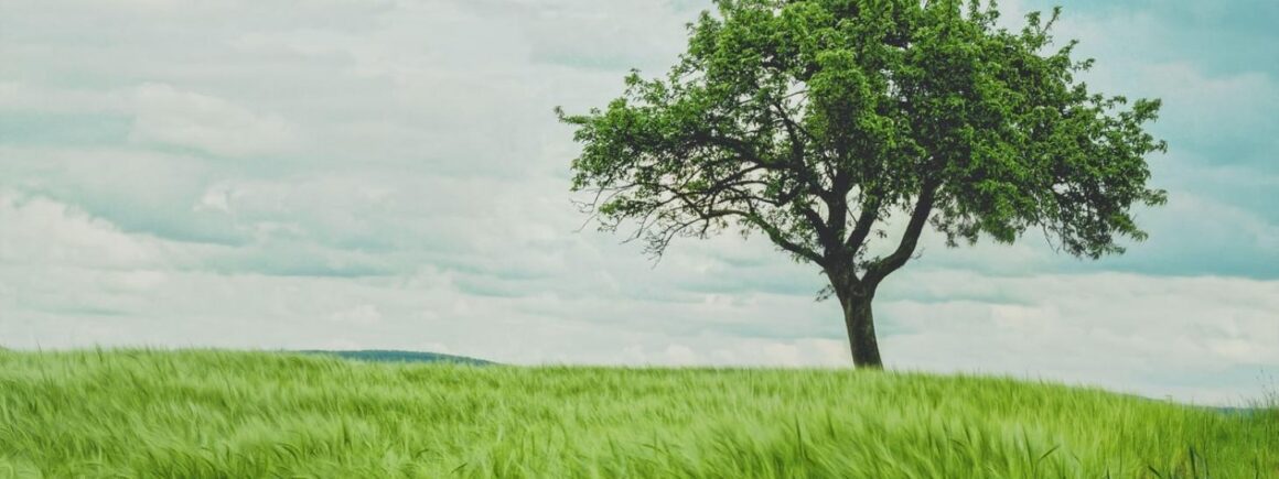 Bienvenue Chez Clément – Afterwork Europe 2 : Pour son dernier jour de « liberté », un médecin a choisi de se « tronfiner »