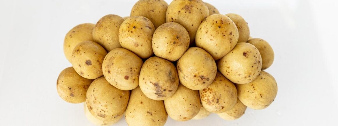 Bienvenue Chez Clément – Afterwork Europe 2 : Allo Patates vous livre vos pommes de terre à domicile !