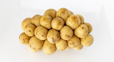 Bienvenue Chez Clément : Allo Patates vous livre vos pommes de terre à domicile !