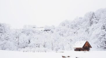 Bienvenue Chez Clément : Des moutons bloqués... par la neige