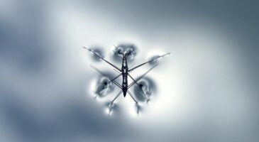 La Matinale Europe 2 : 750 millions de moustiques génétiquement modifiés libérés en Floride