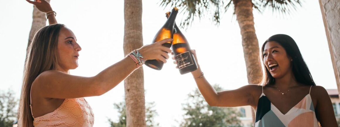 Pour la Fête de la Musique, chantez Chanson sur Ma Drôle de Vie de Véronique Sanson !