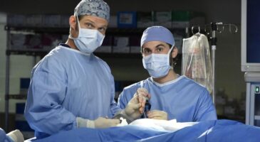 Grey's Anatomy donne ses masques au personnel hospitalier, un trailer pour la Casa de Papel... les news séries de la semaine