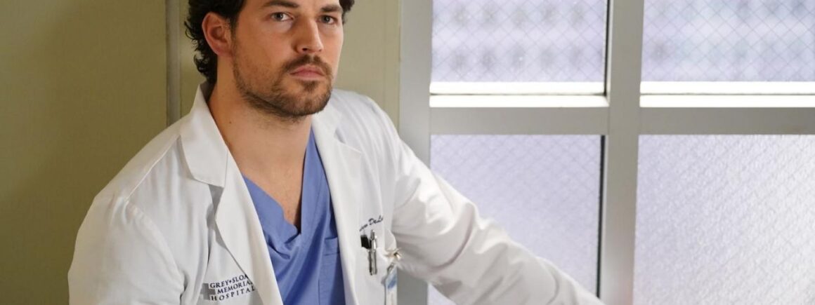 Grey’s Anatomy : La saison 17 sera-t-elle la dernière ? Andrew DeLuca en est sûr !