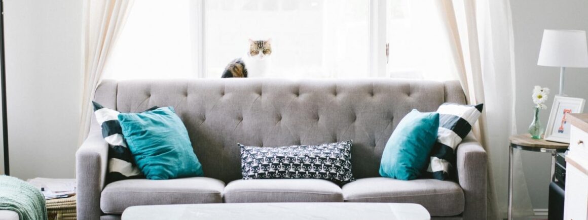 Bienvenue Chez Clément – Afterwork Europe 2 : Il trouve 40 000 euros dans un canapé et rend l&rsquo;argent !