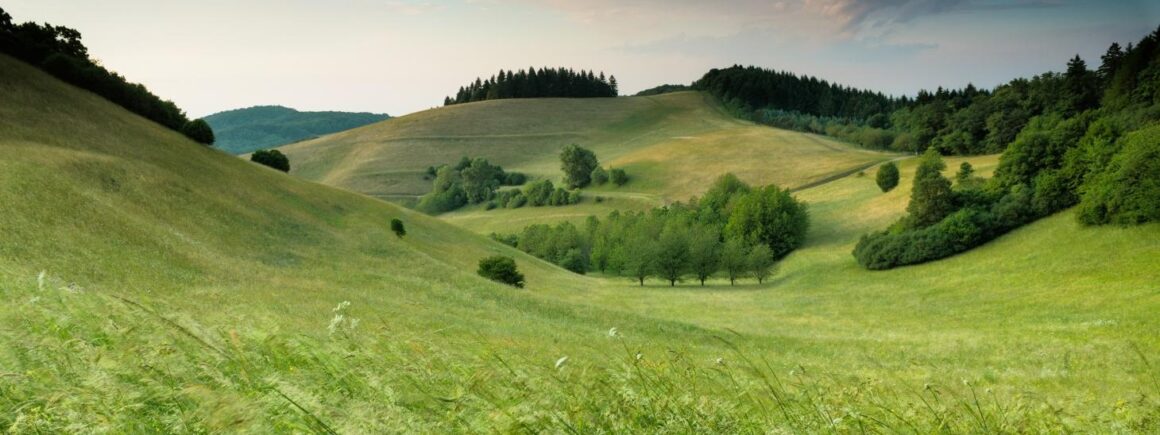 Sondage : 60% des français rêvent de vivre à…