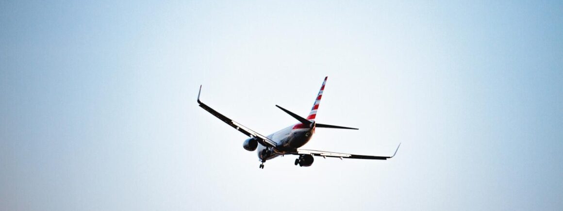 Une compagnie aérienne japonaise lance un système pour éviter les bébés