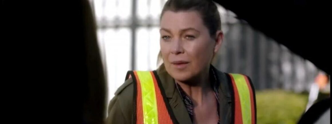 La saison 16 de Grey&rsquo;s Anatomy, les actrices de Charmed réunies, le teaser de The Walking Dead… toutes les news série !