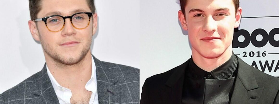 Shawn Mendes et Niall Horan préparent une collaboration !