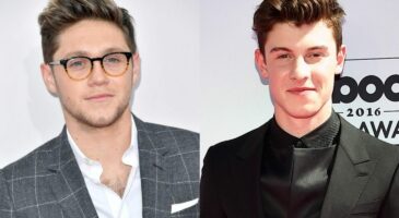 Shawn Mendes et Niall Horan préparent une collaboration !