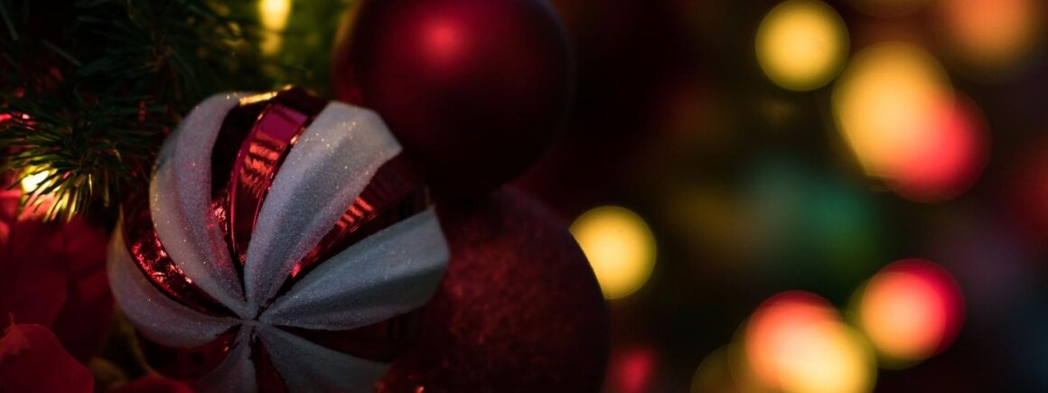 Bienvenue Chez Clément – Afterwork Europe 2 : Ils fêteront Noël en manger une raclette dans le train Paris-Cherbourg !