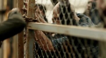 Fear The Walking Dead saison 3 : Episode 11, un happy end rare pour La Serpiente 