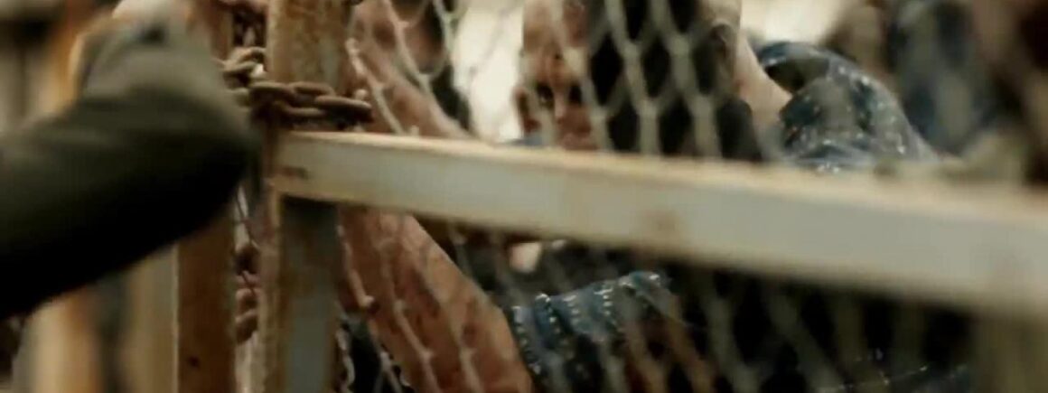 Fear The Walking Dead saison 3 : Episode 11, les premières vidéos de La Serpiente