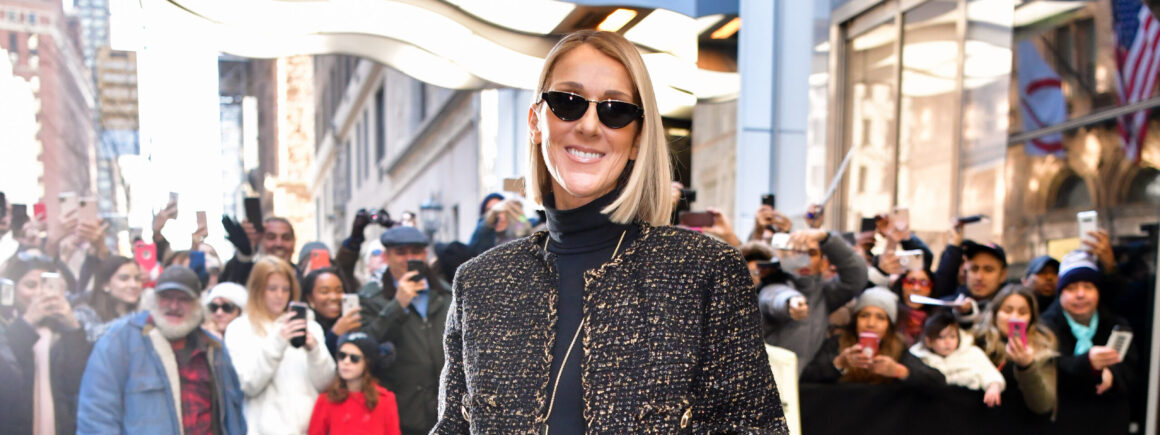 En attendant son retour sur scène, Céline Dion s’occupe avec un projet inattendu (PHOTO)