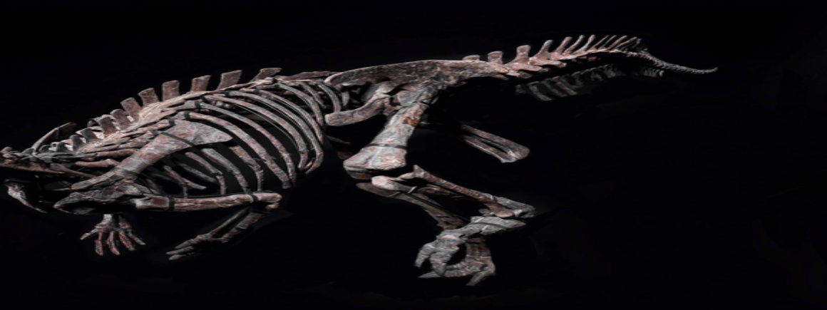 Le Morning Sans Filtre : Un Squelette de dinosaure vendu 535 000 euros aux enchères