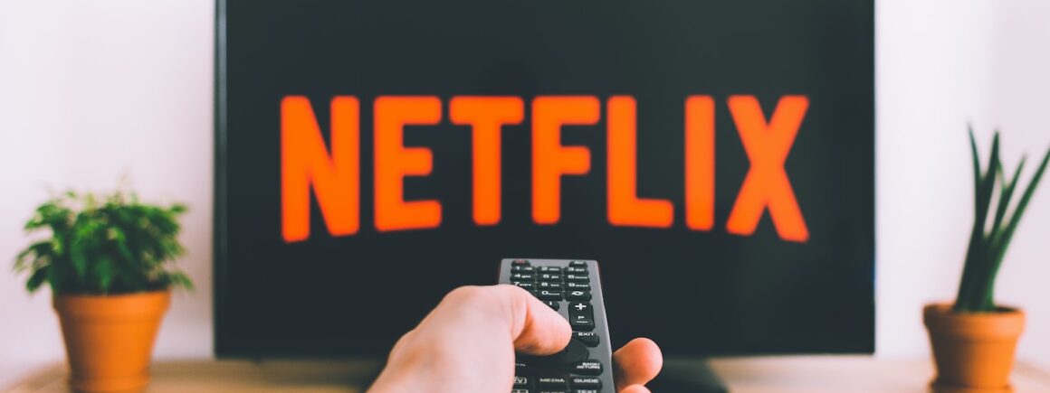 Netflix annonce que le partage de  codes devient payant