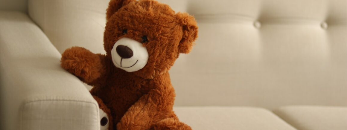 Pourquoi est-il rassurant pour les adultes de garder leur doudou ?