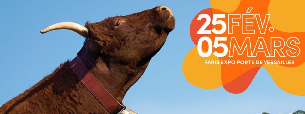 Le Morning Sans Filtre : Rihanna attendue au Salon de l’Agriculture ce week-end