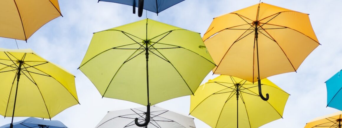 C’est la journée mondiale de la météo !