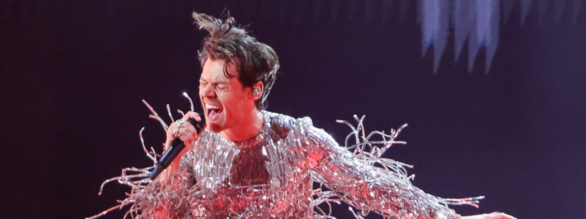 Harry Styles : Love on Tour génère 6 millions de dollars reversés aux oeuvres caritatives