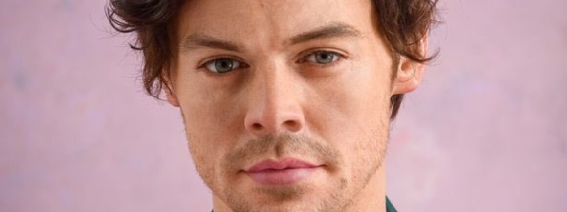 Harry Styles : Madame Tussauds dévoile sept statues de cire
