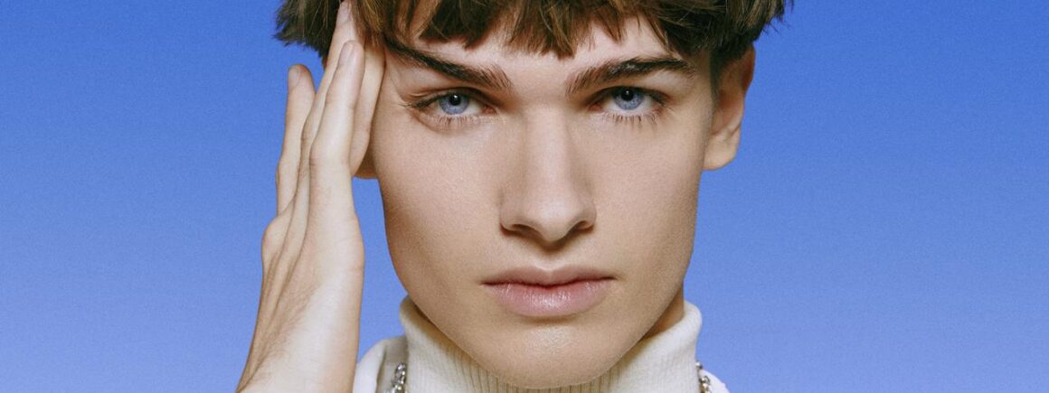 L&rsquo;étrange Phobie de Pierre de Maere