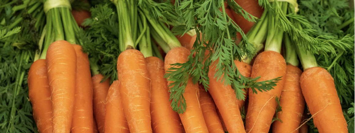 Les carottes rendent-elles vraiment aimable ? On a la réponse !