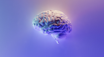 Oublier des choses, preuve d'intelligence